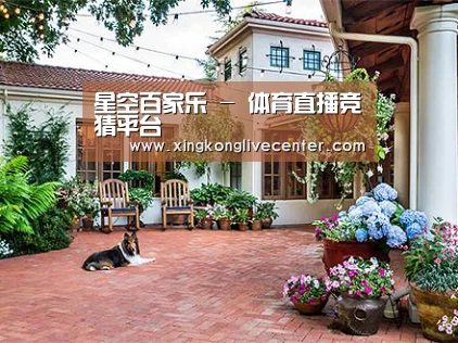 客户案例标题九