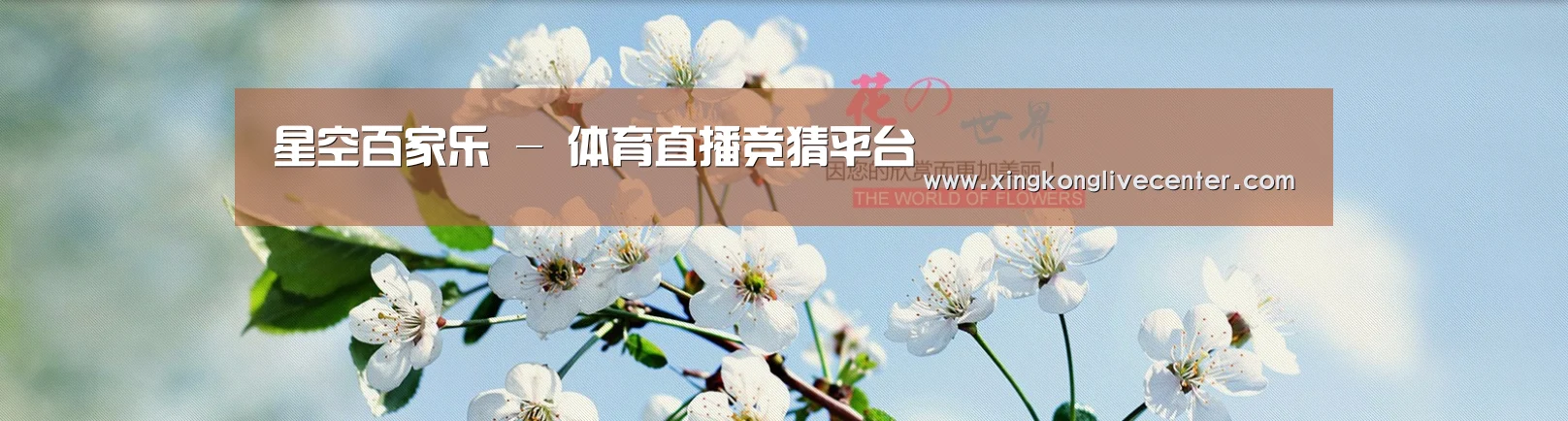 花卉园林种植展示网站模板