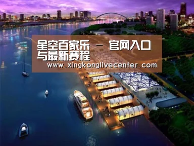 案例展示八