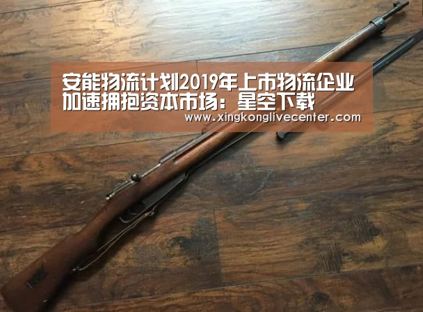 安能物流计划2019年上市物流企业加速拥抱资本市场:星空下载(图3) 星空官网